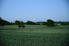 DSC_1061