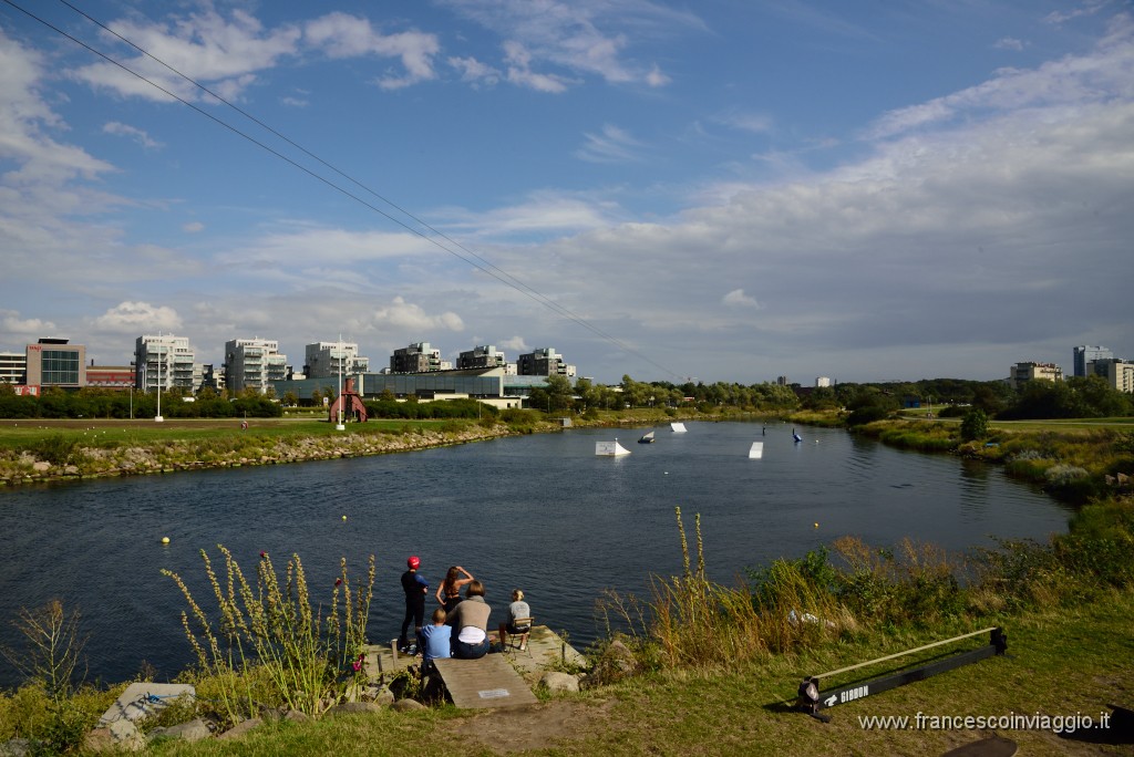 DSC_2305.JPG