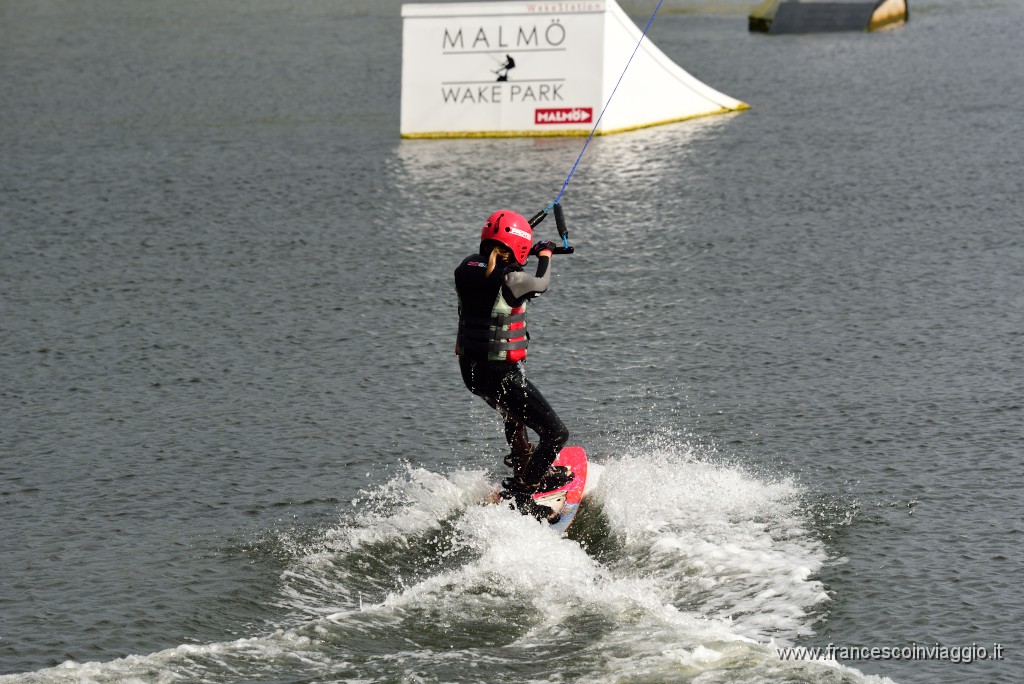 DSC_2426.JPG