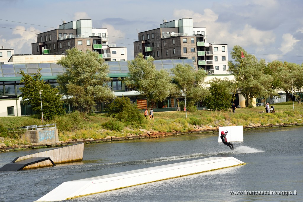 DSC_2768.JPG